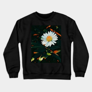 Tiny Daisy - Burnt Orange Crewneck Sweatshirt